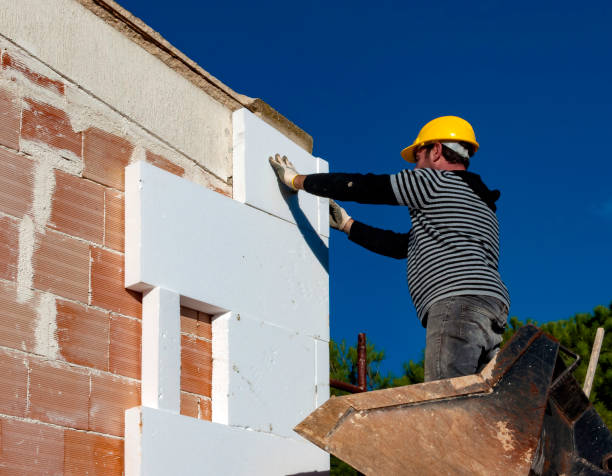 Best DIY Insulation Kits and Guidance in Northdale, FL