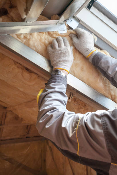 Best Insulation Maintenance and Repair in Northdale, FL