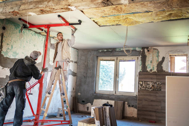 Best Specialized Insulation Services in Northdale, FL