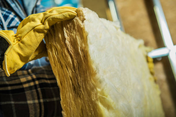 Best Fiberglass Insulation in Northdale, FL