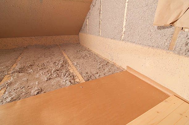 Best Eco-Friendly Insulation in Northdale, FL