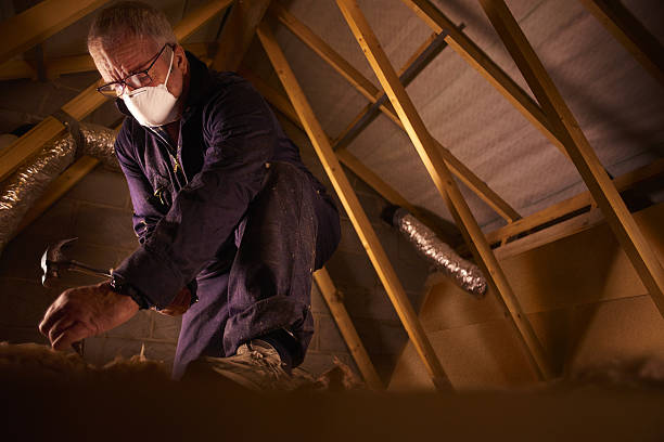 Best Geographic-Specific Insulation Services in Northdale, FL