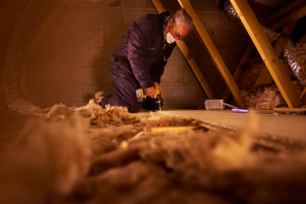 Types of Insulation We Offer in Northdale, FL